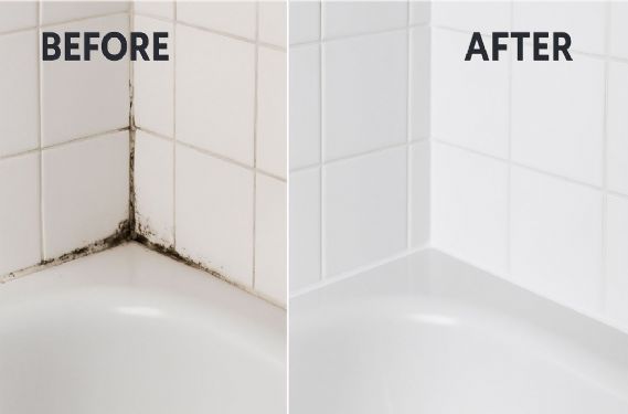 浴室發霉如何處理？全面清除霉斑的實用指南