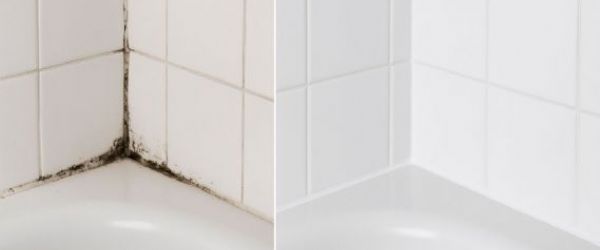 浴室發霉如何處理？全面清除霉斑的實用指南